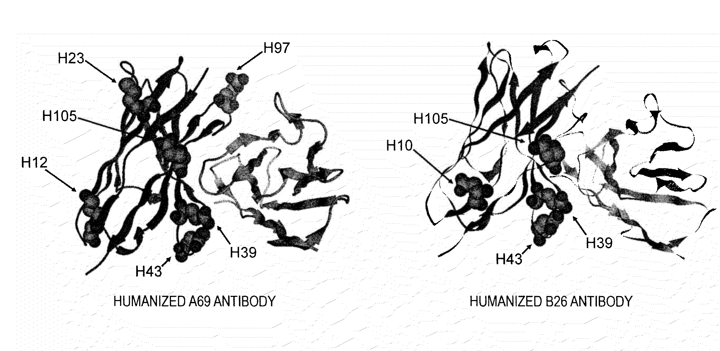 Methods for controlling blood pharmacokinetics of antibodies