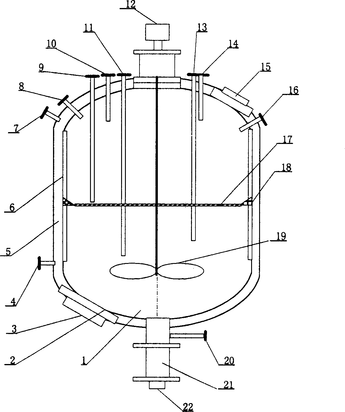 Multifunctional reactor for preparing ionic liquid