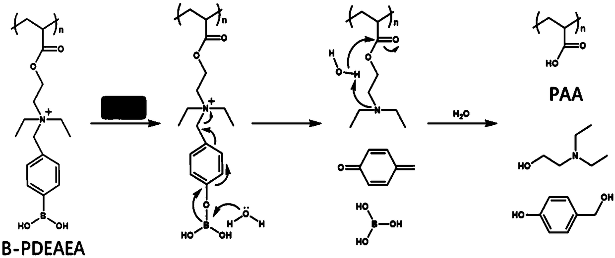 Application of vorinostat in oxidation responded cationic polymer gene vector mediated gene therapy