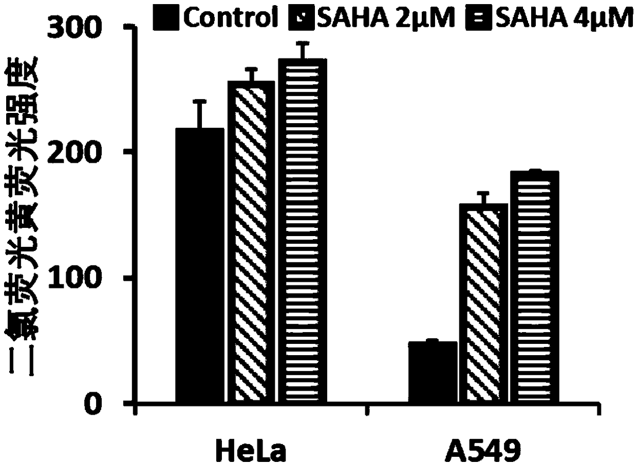 Application of vorinostat in oxidation responded cationic polymer gene vector mediated gene therapy