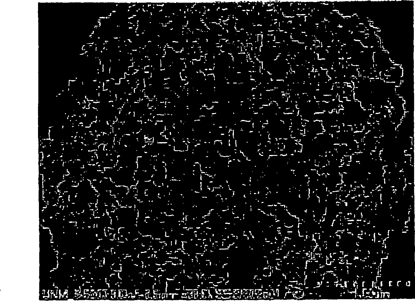 Alloy catalyst compositions and processes for making and using same