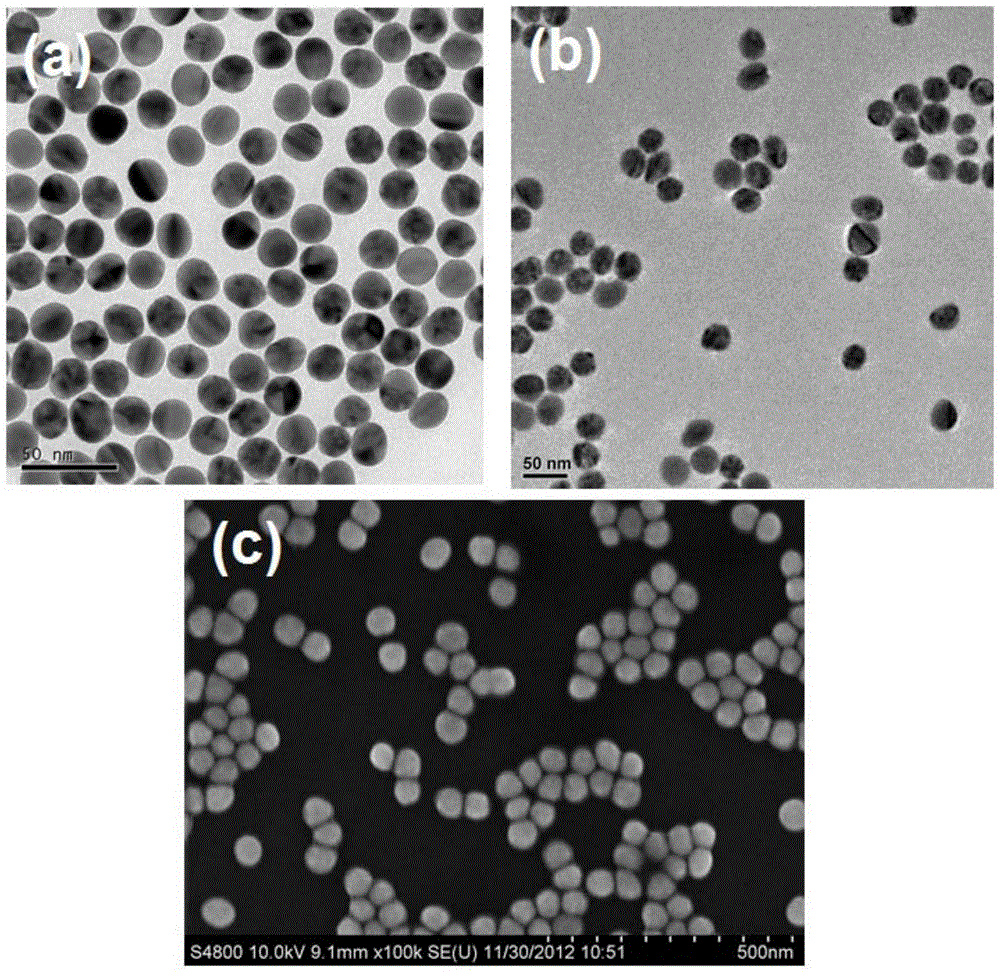 A kind of spherical gold particle and its step-by-step rapid synthesis method