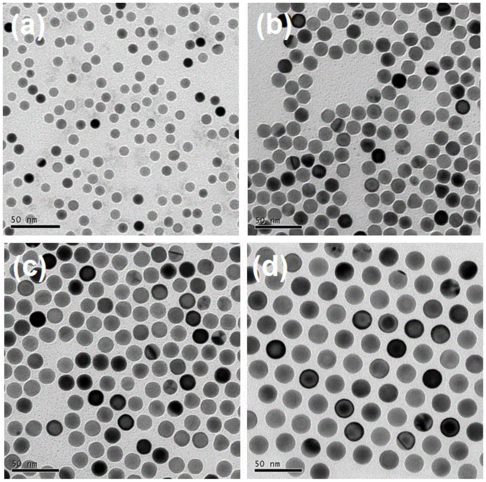 A kind of spherical gold particle and its step-by-step rapid synthesis method