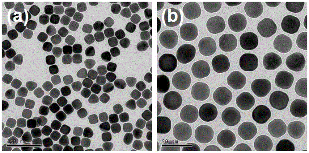 A kind of spherical gold particle and its step-by-step rapid synthesis method