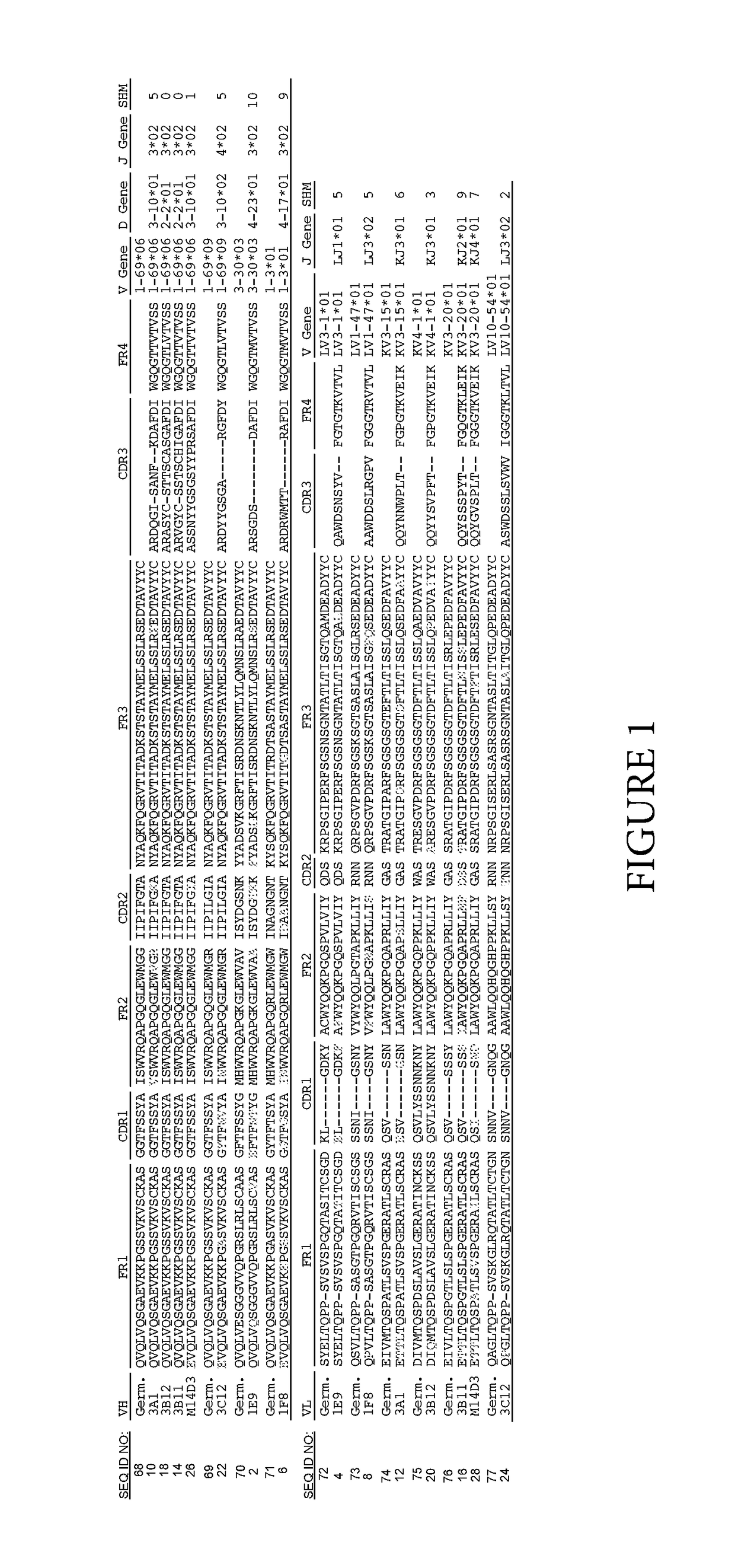 Middle east respiratory syndrome coronavirus neutralizing antibodies and methods of use thereof