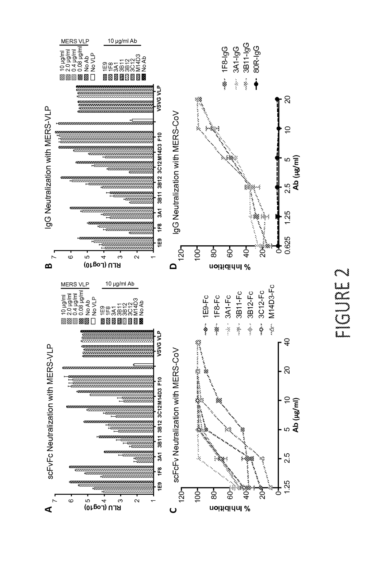 Middle east respiratory syndrome coronavirus neutralizing antibodies and methods of use thereof