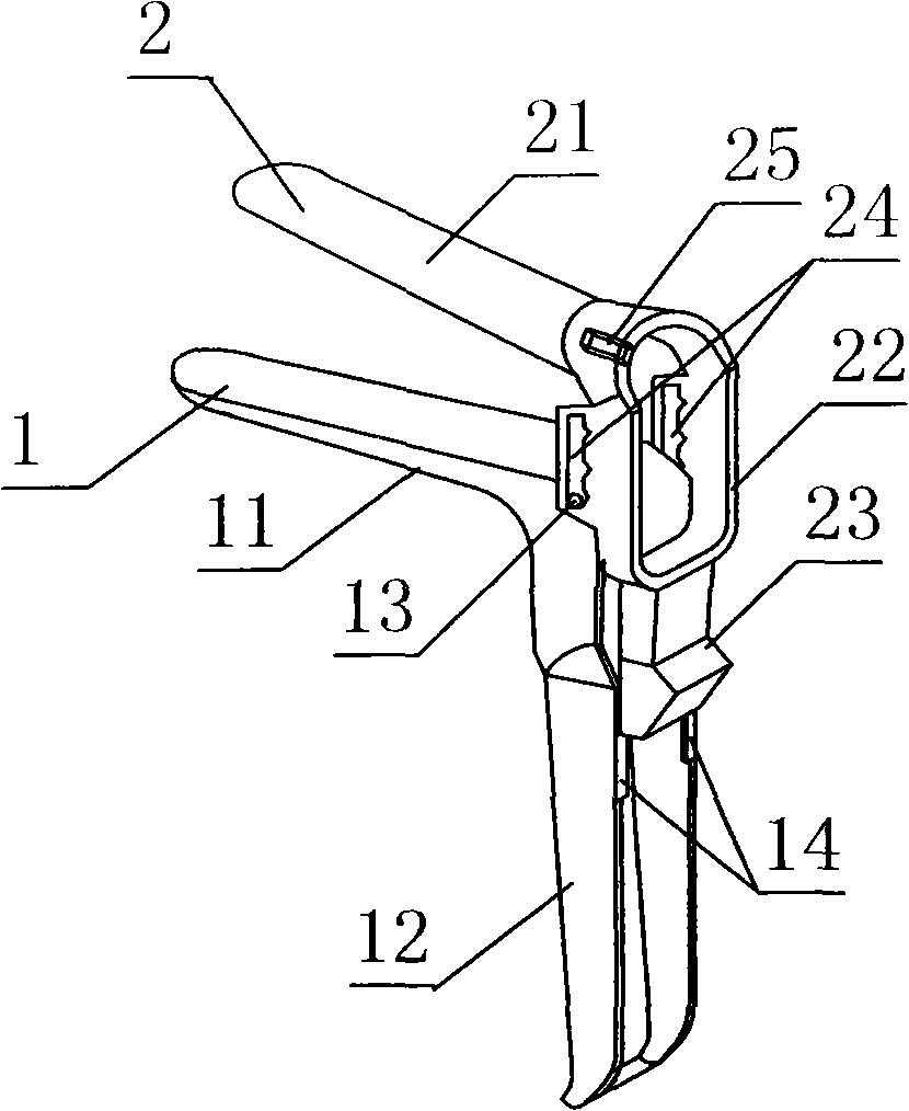 Cunt dilator with lighting device