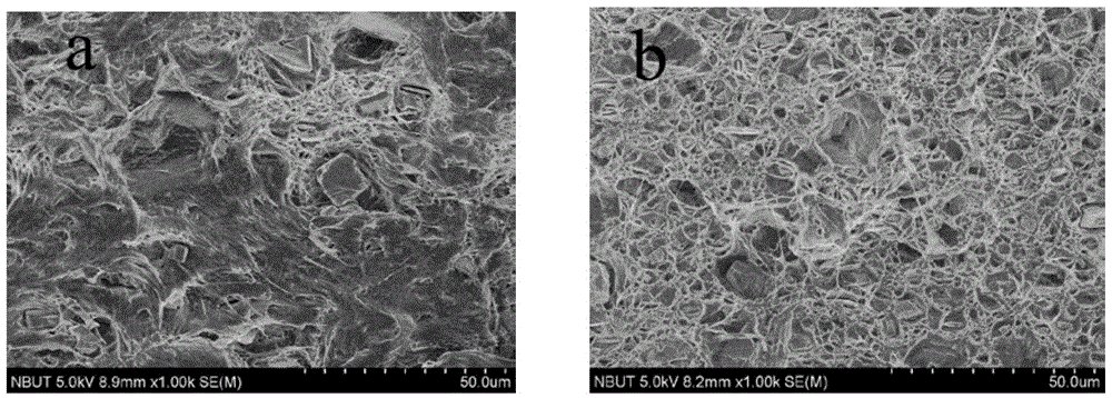 A kind of reinforced and toughened filler masterbatch with compatibilization performance and preparation method thereof