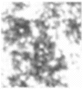 Detection method and detection system for copper wire surface oxidation defects of FPC