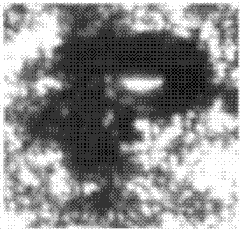 Detection method and detection system for copper wire surface oxidation defects of FPC