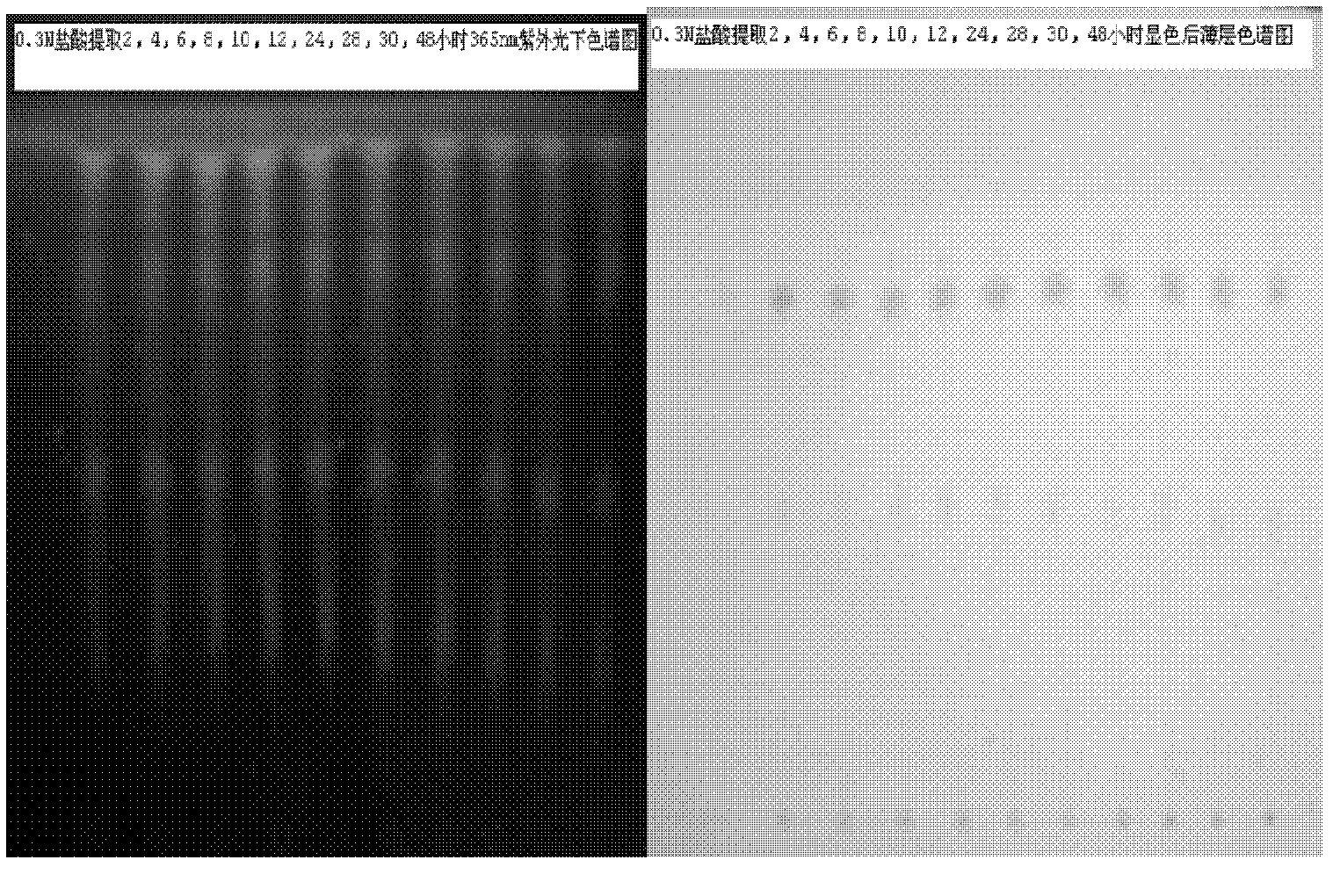 Preparation method of sinomenine