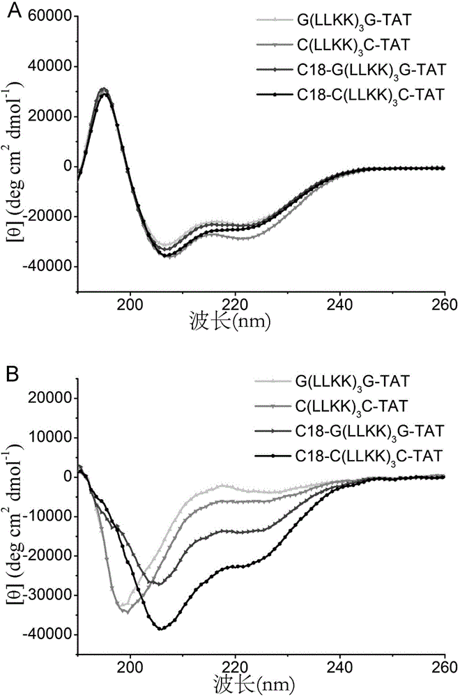 Polypeptide nucleic acid vector, preparation method and uses thereof