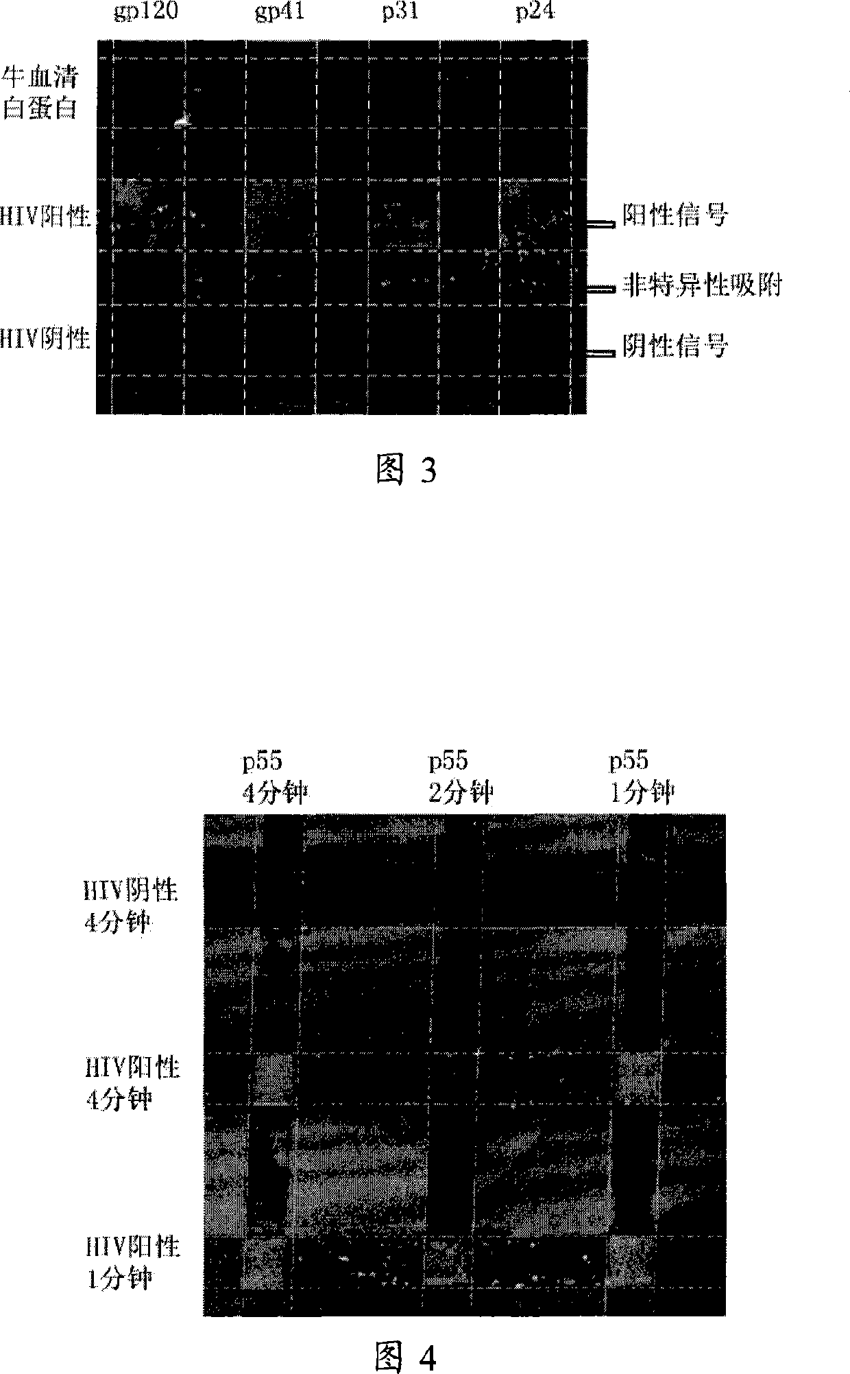 Method and device for biological sample detection