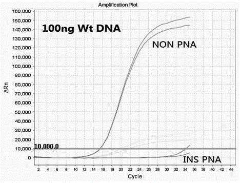 Human b-raf gene v600 mutation detection kit