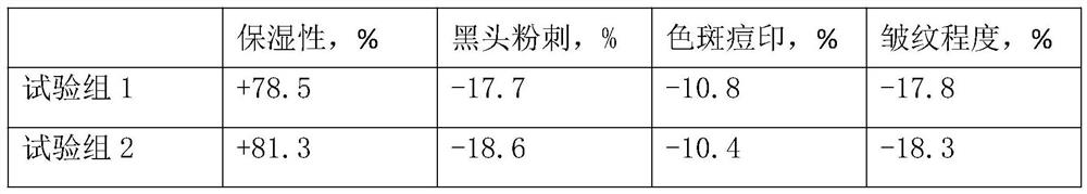 Skin care product composition containing young garlic shoot extract and preparation method of skin care product composition