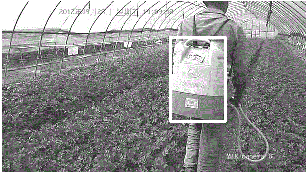 Pesticide Spray Detection Method Based on Machine Learning