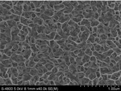 Amorphous cobalt-nickel-matrix chalcogenide film as well as preparation method and application thereof