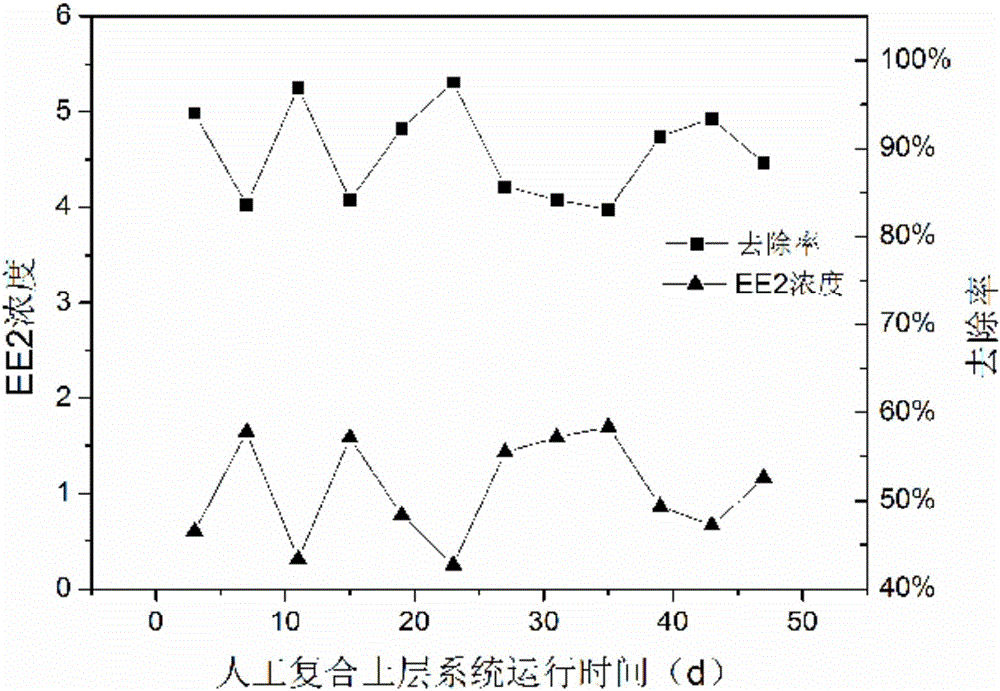 Artificial soil layer quick infiltration system and method for removing ethinylestradiol in water with high hydraulic load