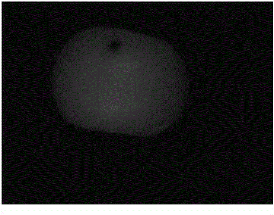 Method for detecting flaw on surface of fruit