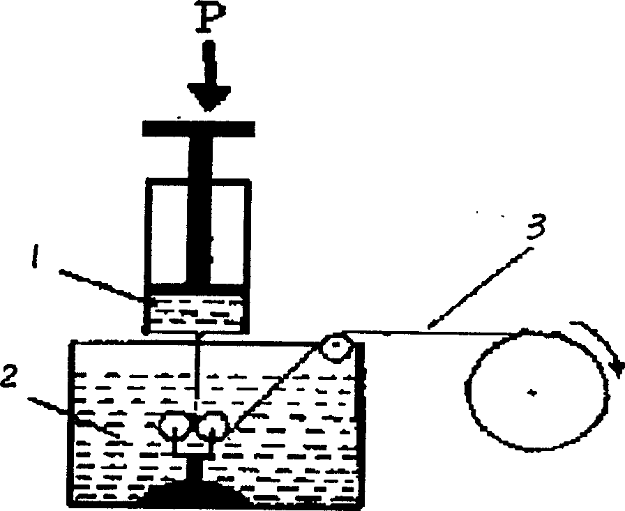 Hollow fiber medicine carrier and its preparing method and use