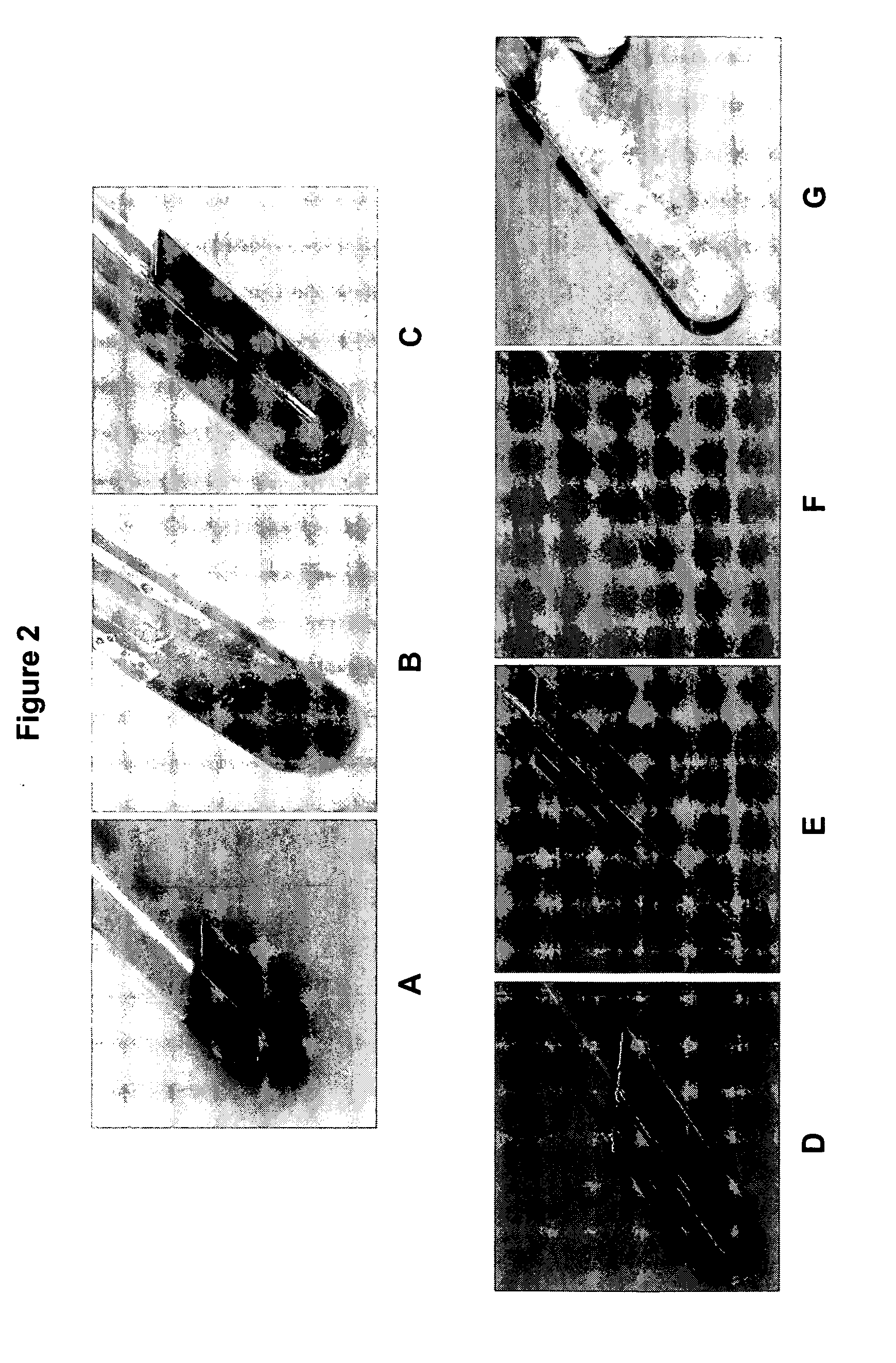 Isolation of nucleic acid using colored buffers