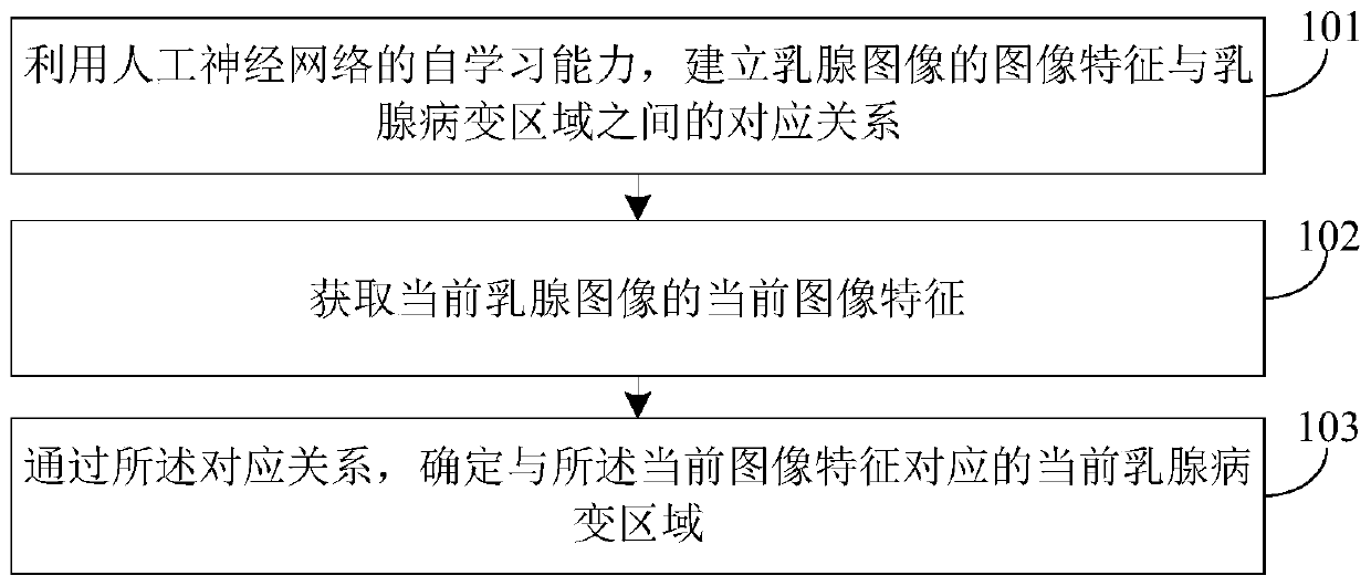 Mammary gland lesion detection method and device