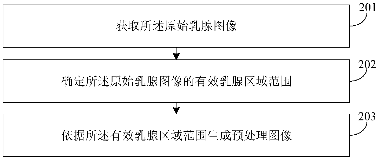 Mammary gland lesion detection method and device