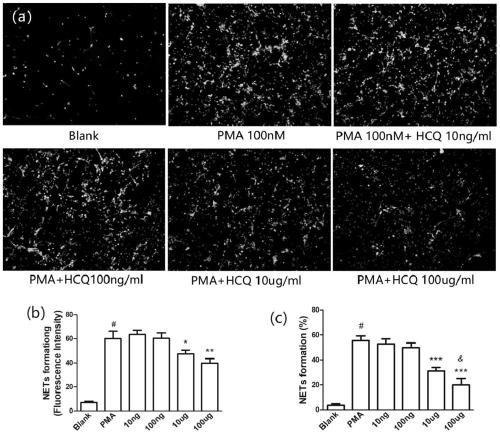 New application of hydroxychloroquine