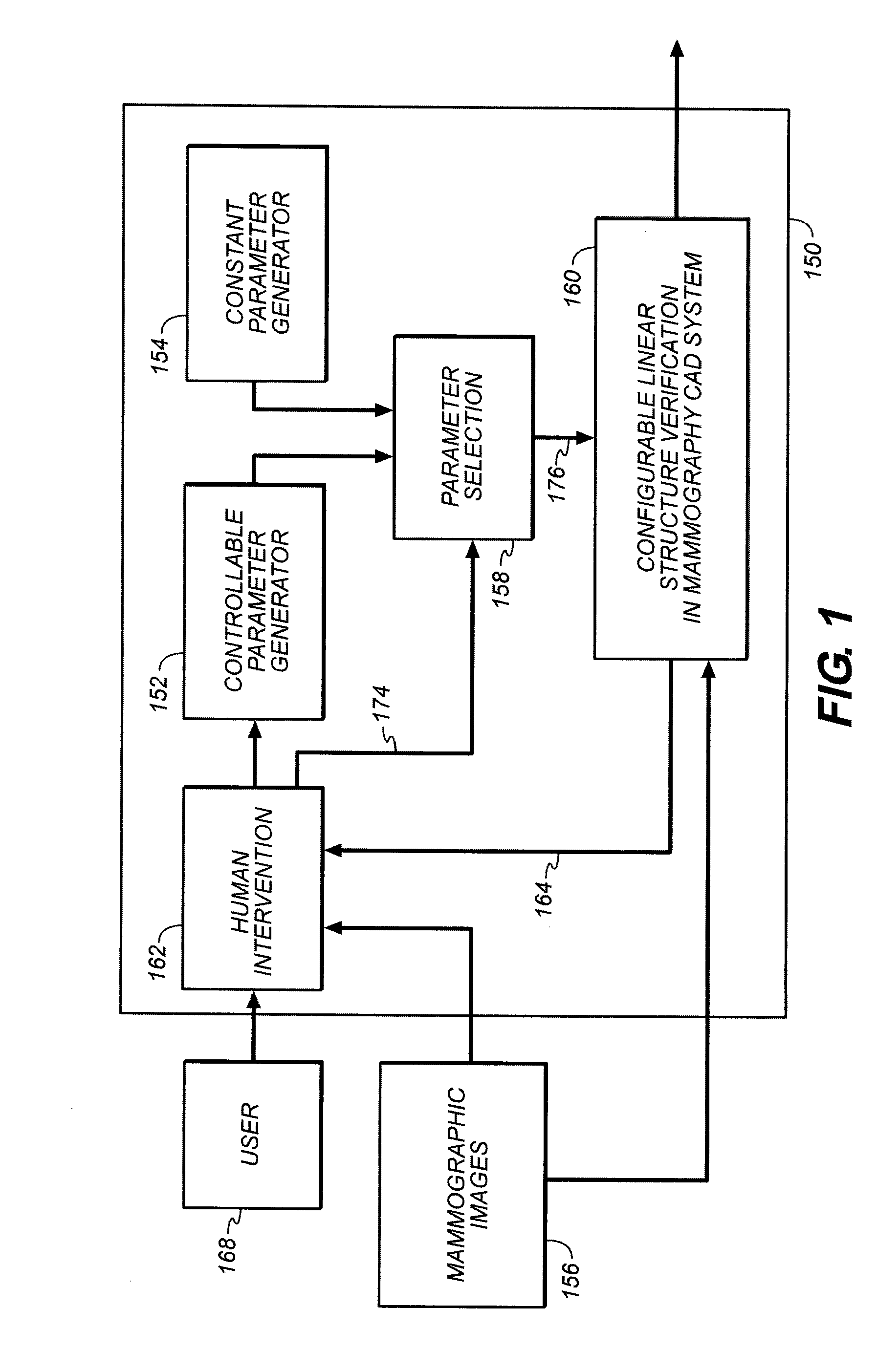 Linear structure verification in medical applications