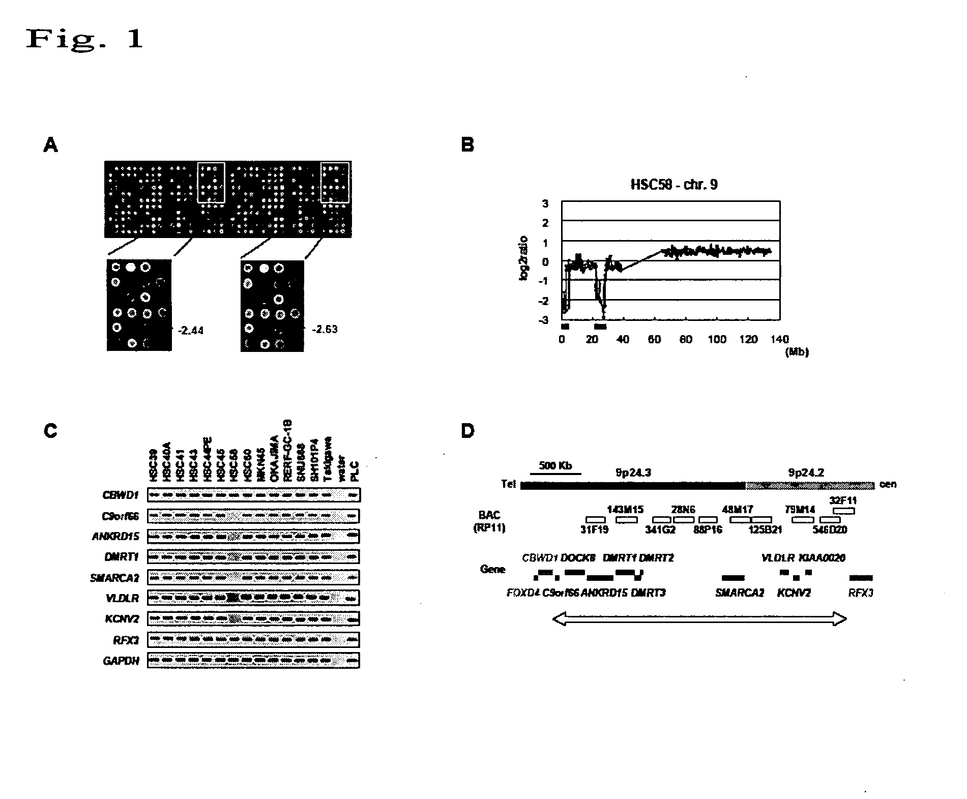 Method for detecting gastric cancer by detecting VLDLR gene