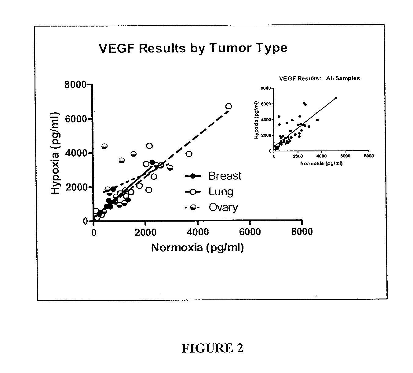 Methods for evaluating angiogenic potential in culture