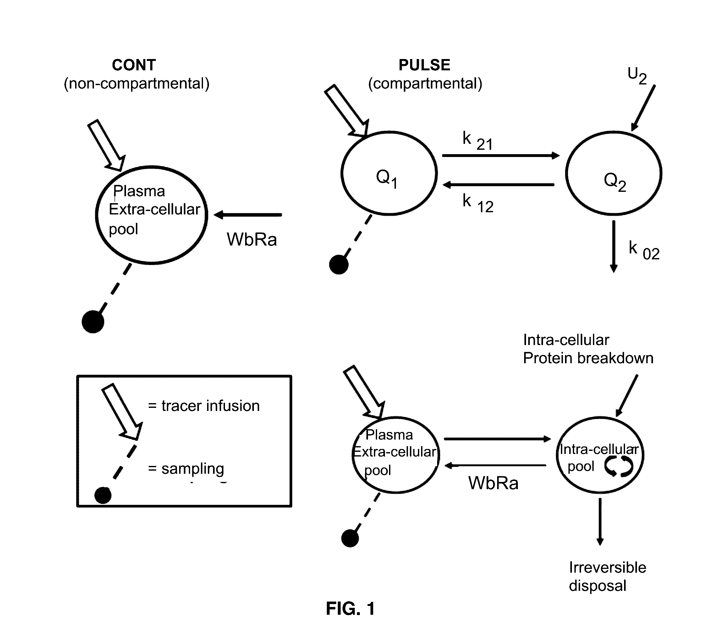 Methods of Metabolic Kinetic Phenotyping and Uses Thereof