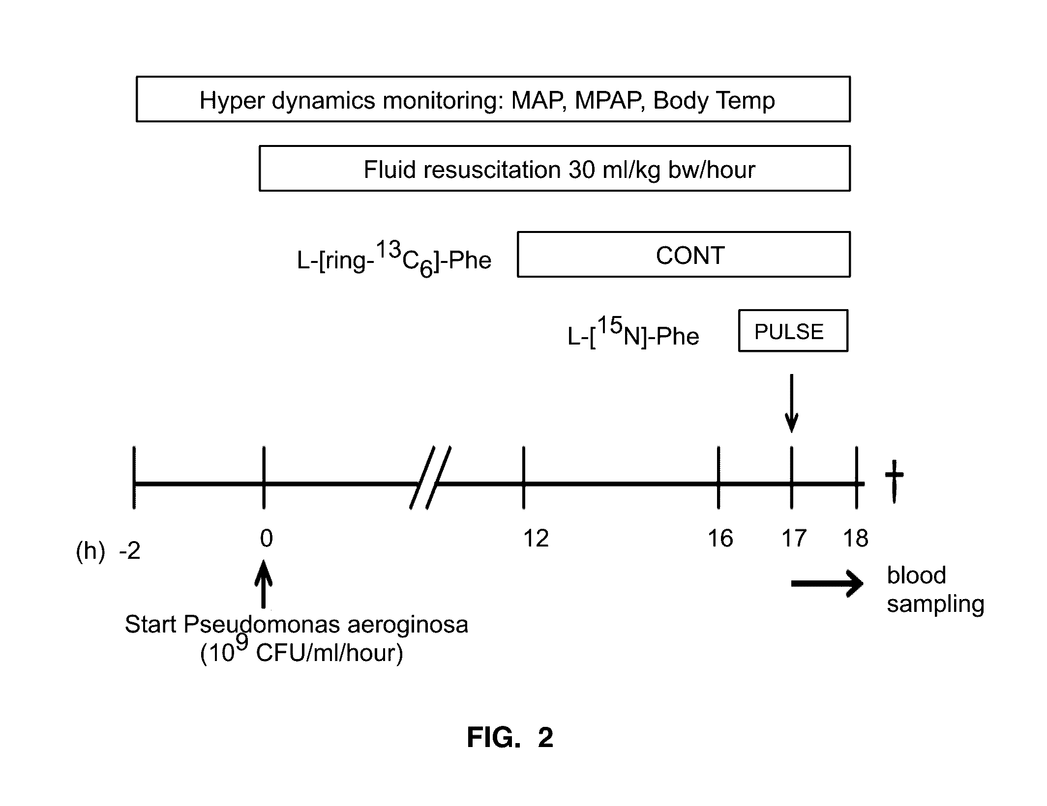 Methods of Metabolic Kinetic Phenotyping and Uses Thereof