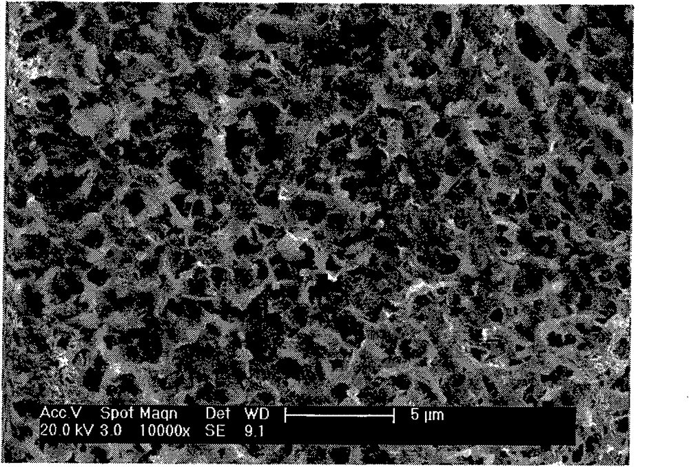 Bioactive artificial joint capable of slowly releasing trace element selenium