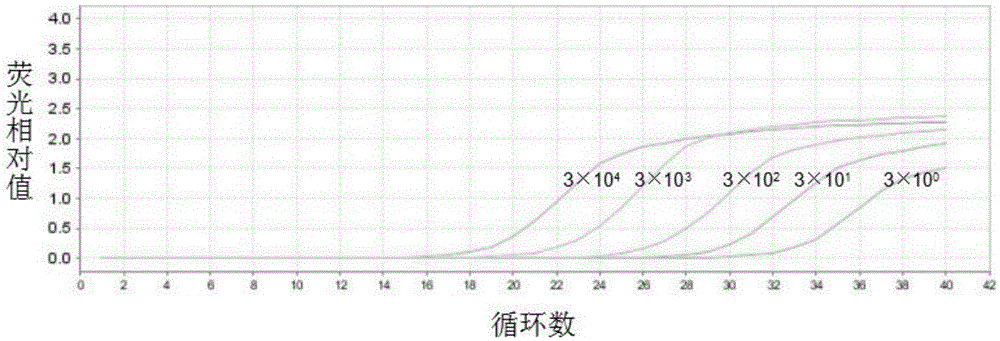 Primer pair, probe and kit for detecting bacterium MCR-1 gene