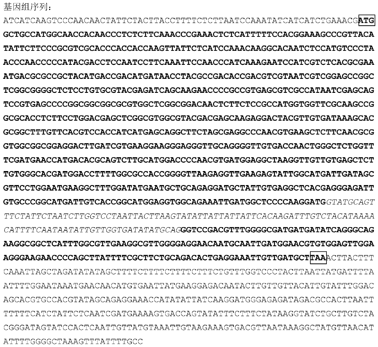 Gene for controlling content of soybean vitamin B1 and application of gene