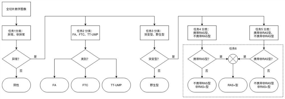 Method for recognizing lesion type and gene mutation in thyroid tumor pathological image