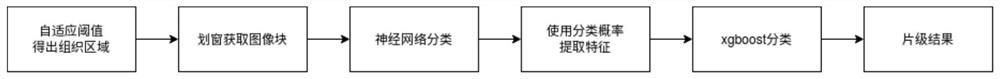 Method for recognizing lesion type and gene mutation in thyroid tumor pathological image