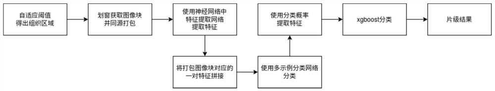 Method for recognizing lesion type and gene mutation in thyroid tumor pathological image