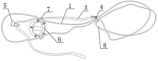 Method for hoisting self-release vertical upright rod and special lifting tool