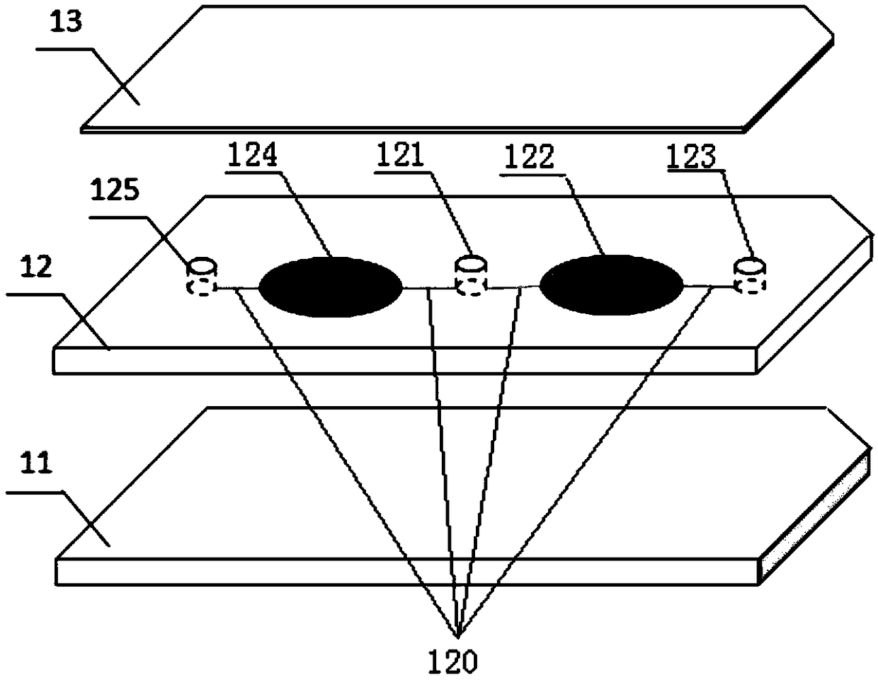 Micro-fluidic radiation damage biological dose analysis and detection device based on luminous bacteria and detection and analysis method thereof