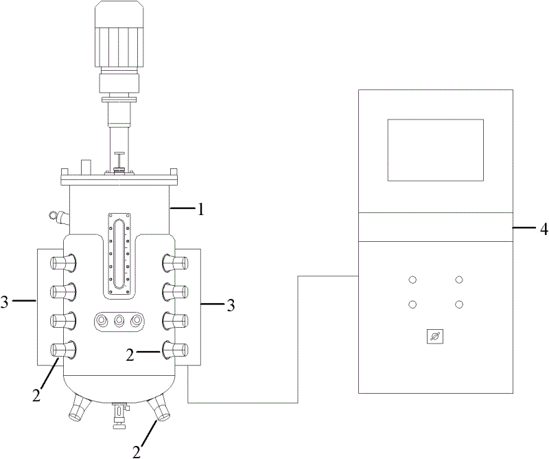 Ultrasound-enhanced bioreactor