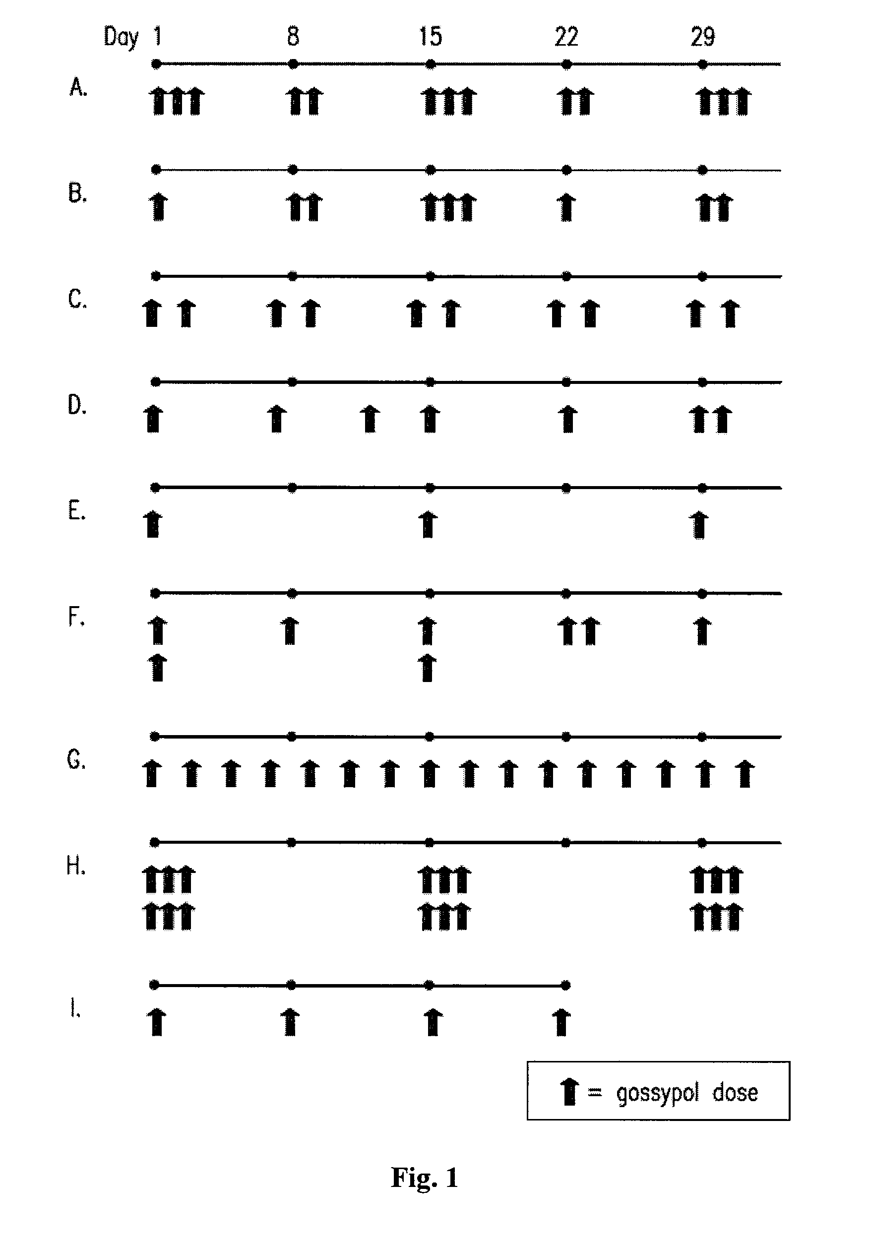 Pulsatile Dosing of Gossypol for Treatment of Disease