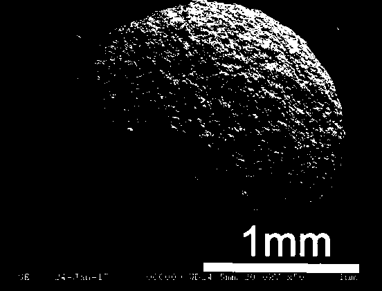 Magnetic porous bentonite chitosan composite microsphere and preparation method thereof