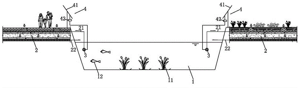 Ecological remediation method and remediation system for natural water body