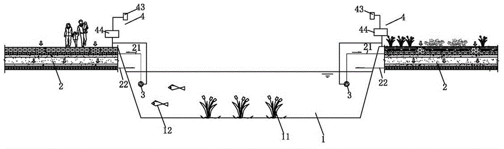 Ecological remediation method and remediation system for natural water body