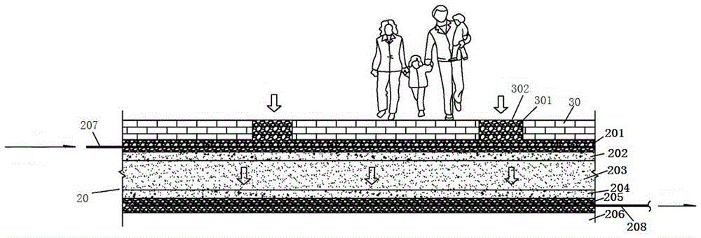 Ecological remediation method and remediation system for natural water body