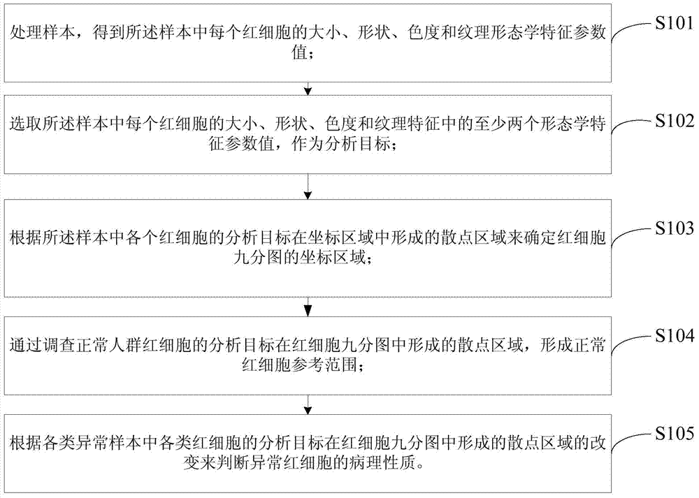 Erythrocyte morphological analysis result representation method