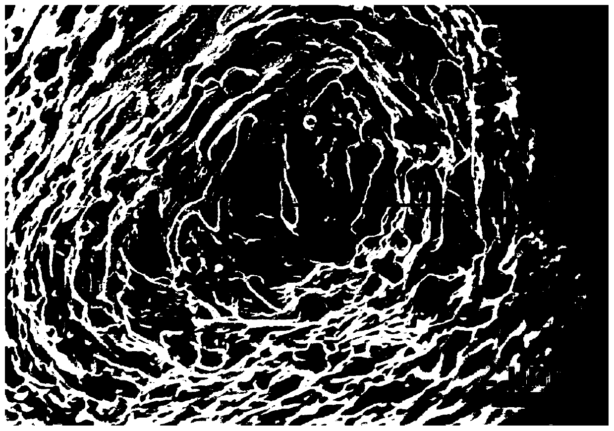 Material surface micro-nano composite strengthening boiling structure as well as preparation method and application thereof