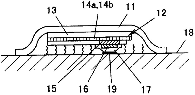 Efficient body fluid collection device and high-precision body fluid analysis device